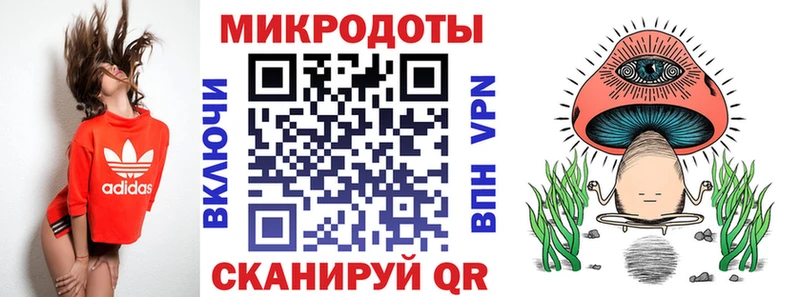 Купить  Сысерть  Псилоцибиновые грибы Psilocybe 